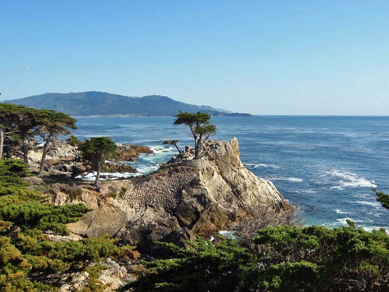 CYPRESS
