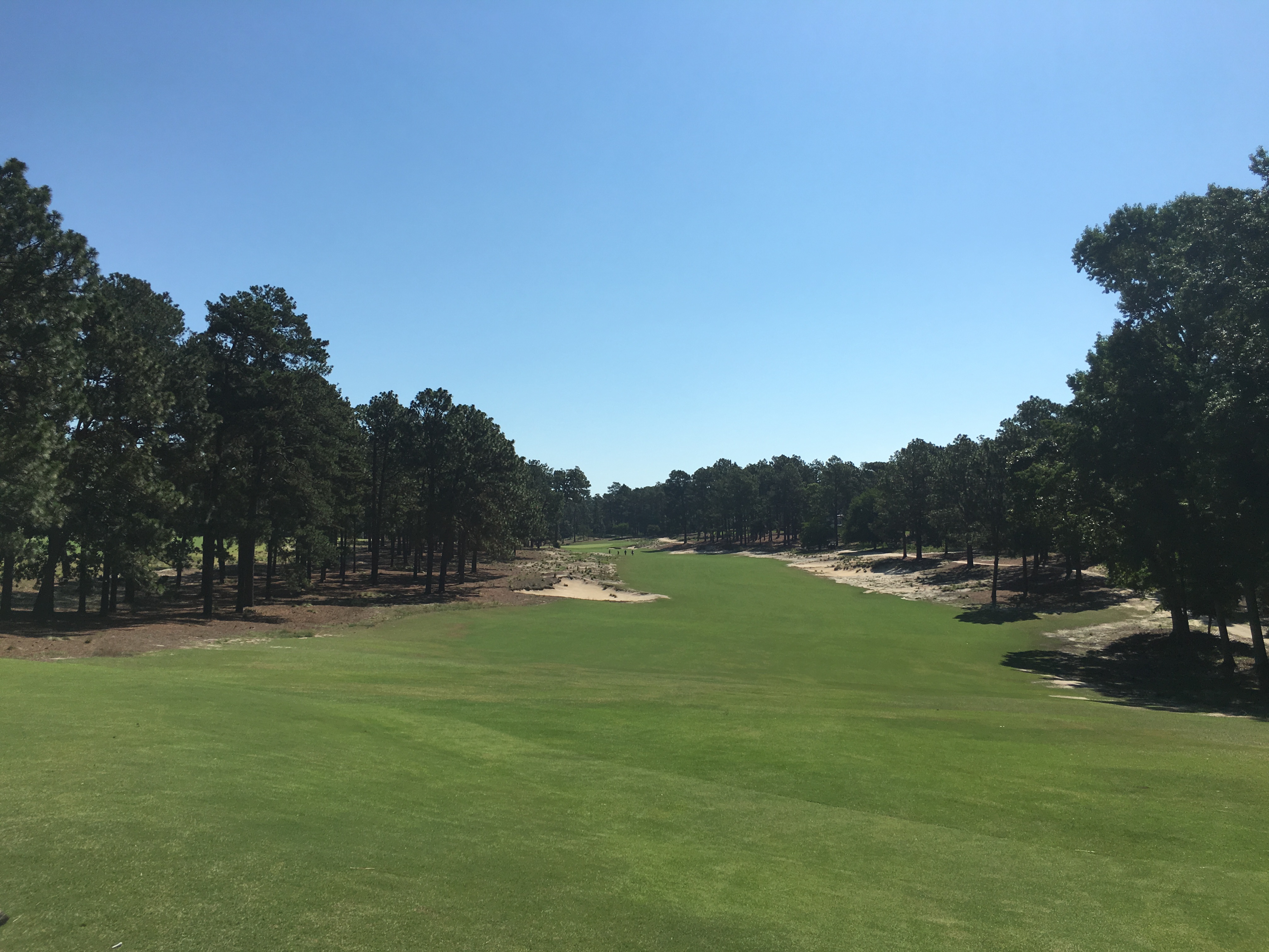 pinehurst-no.2-4th-tee