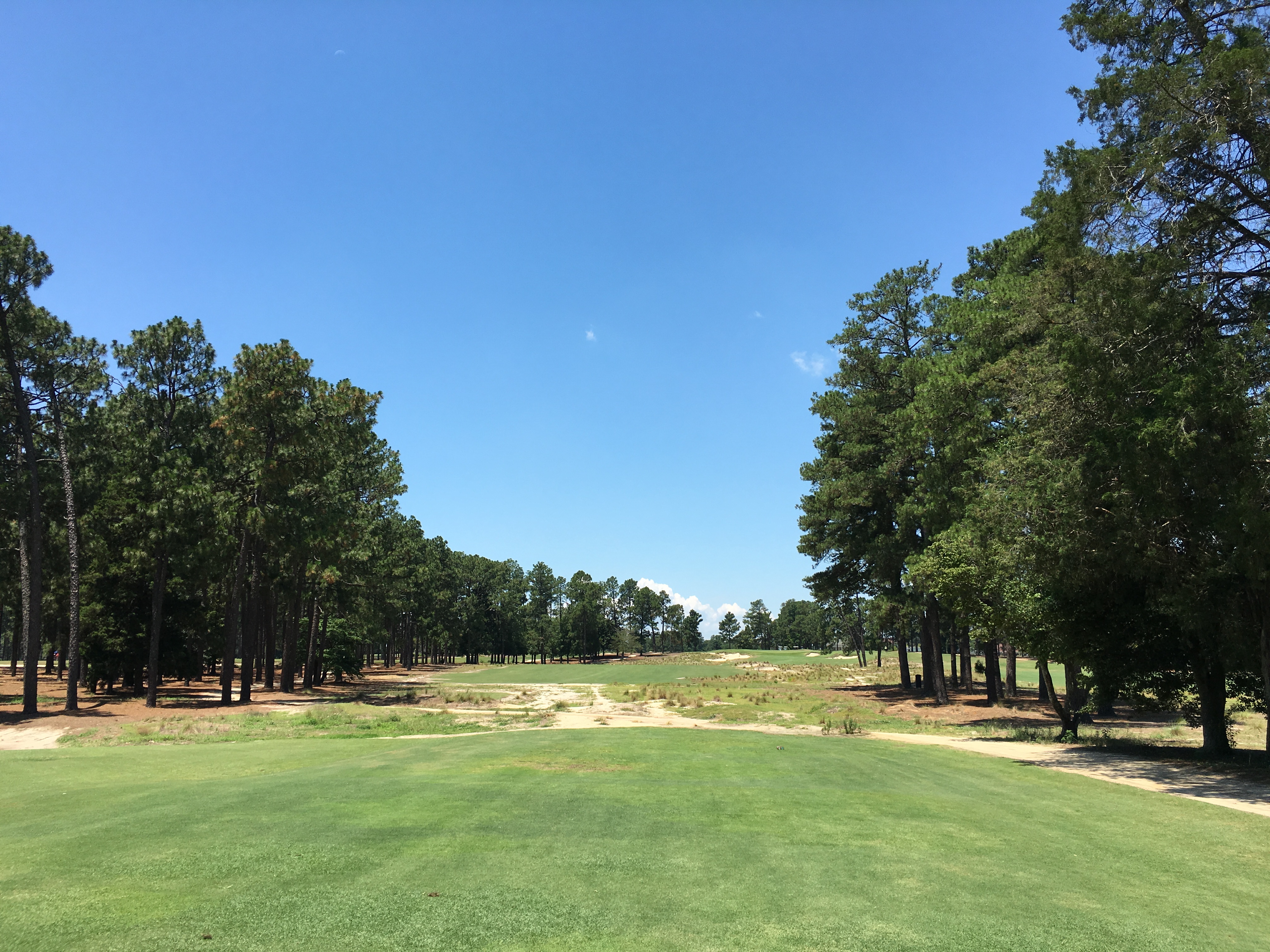 pinehurst no2 13th tee