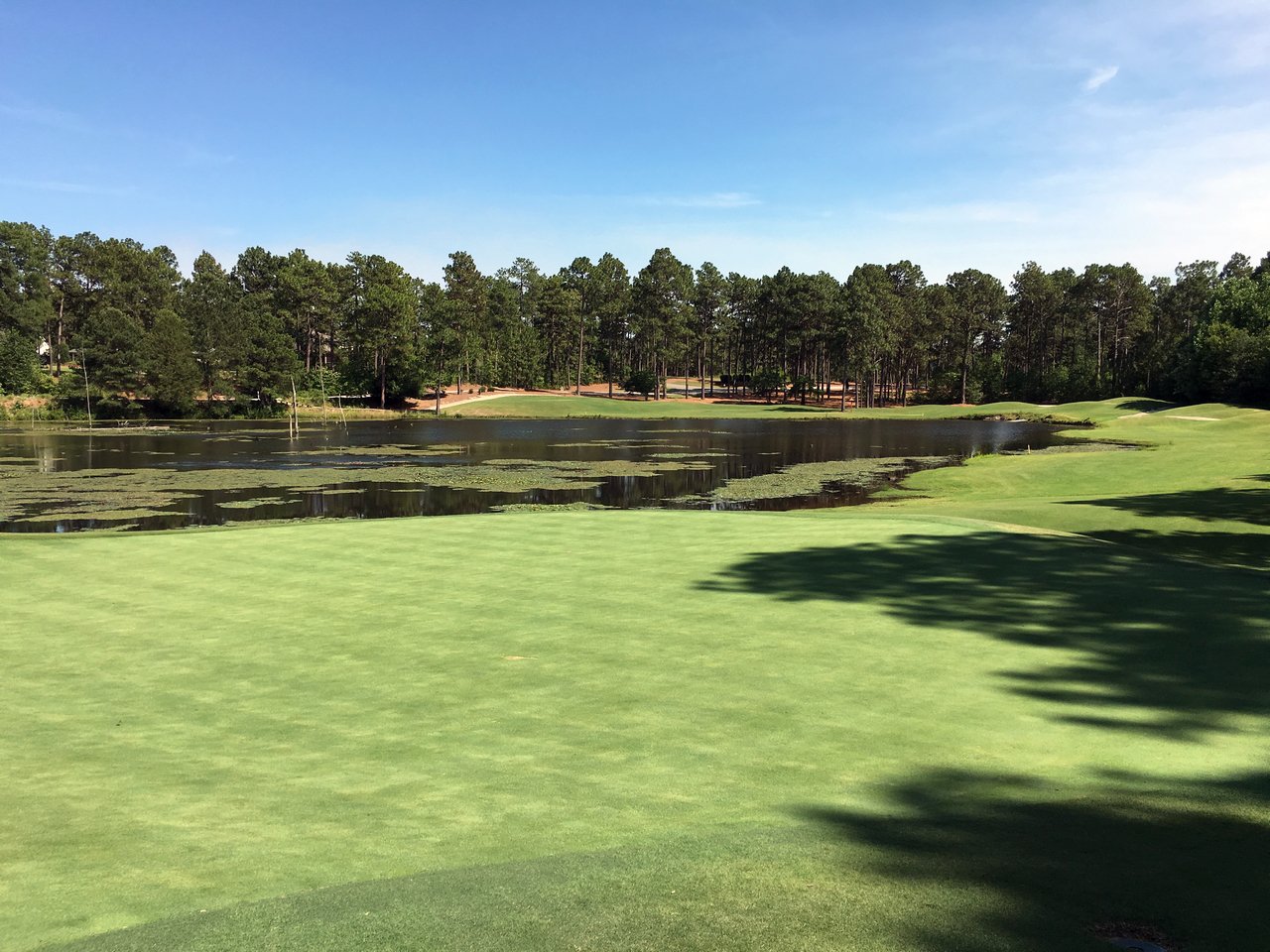 pinehurst#9_4140