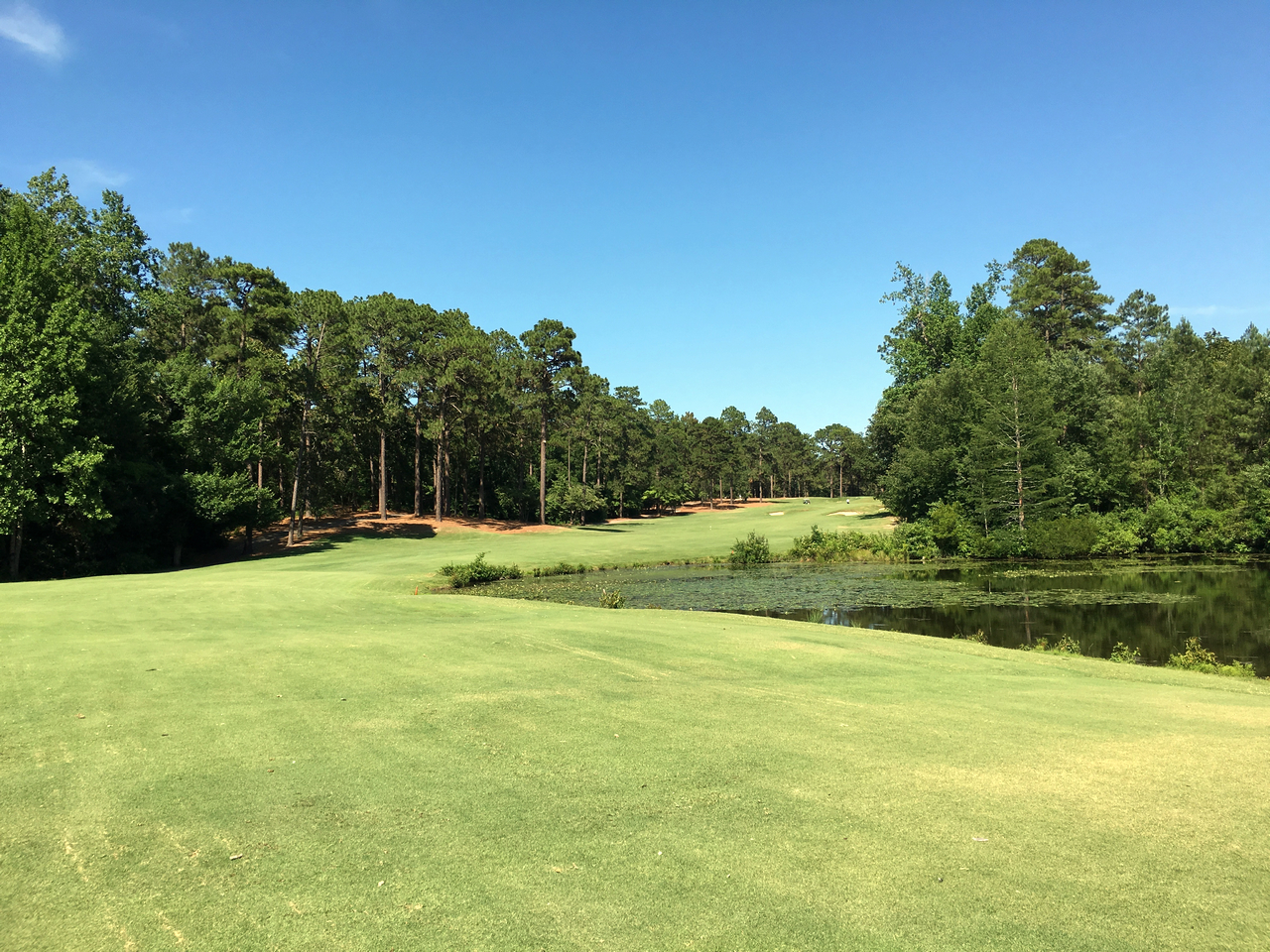 pinehurst#9_4148