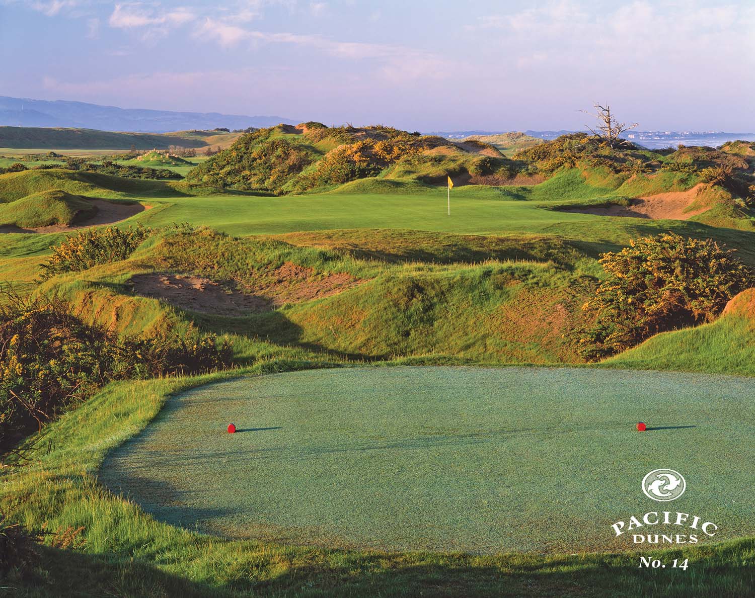 Pacific Dunes